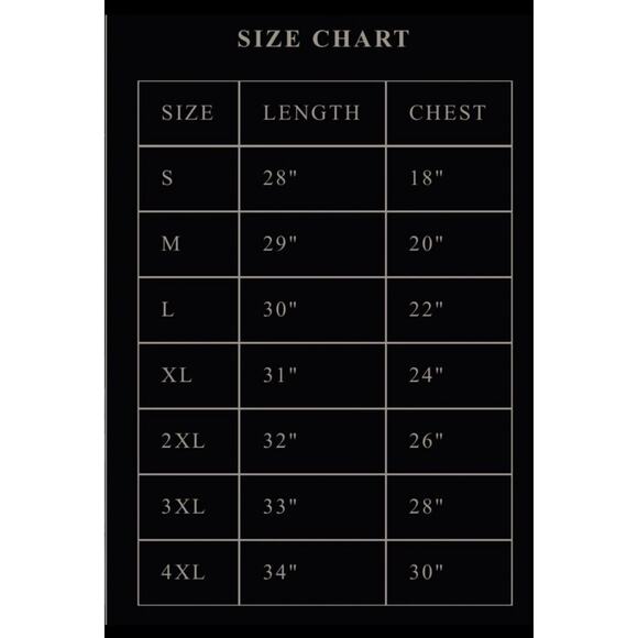 SHIPS ASAP Taylor Swift Tortured Poets Department Capital One TTPD T-Shirt LARGE - Picture 2 of 7